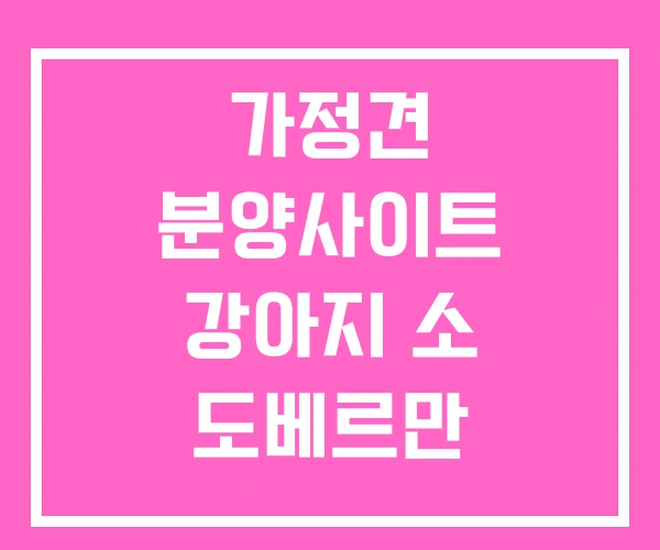 가정견 분양사이트 강아지 소 도베르만 무료분양 가정견 분양사이트 강아지 소 도베르만 무료분양