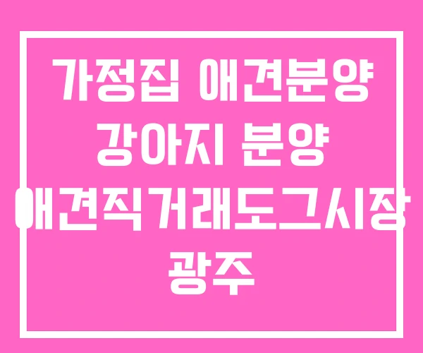 가정집 애견분양 강아지 분양 애견직거래도그시장 광주
