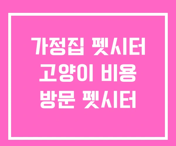 가정집 펫시터 고양이 비용 방문 펫시터