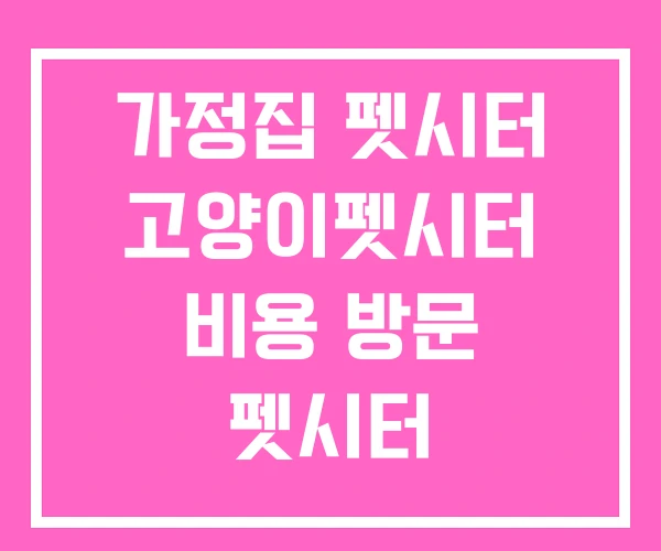 가정집 펫시터 고양이펫시터 비용 방문 펫시터 가정집 펫시터 고양이펫시터 비용 방문 펫시터