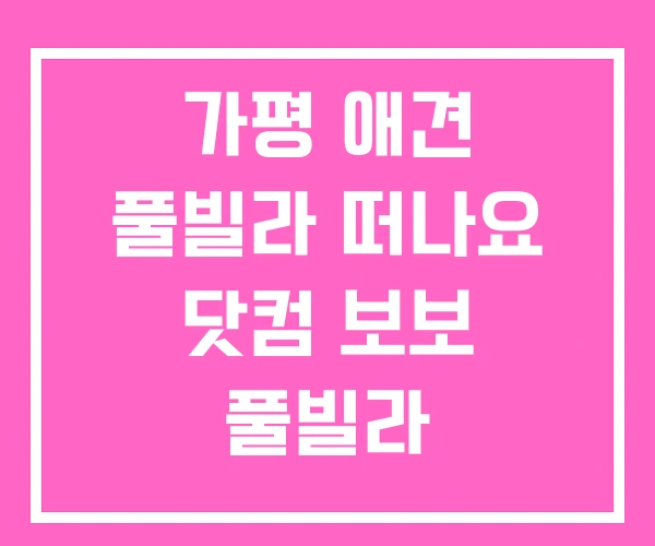 가평 애견 풀빌라 떠나요 닷컴 보보 풀빌라