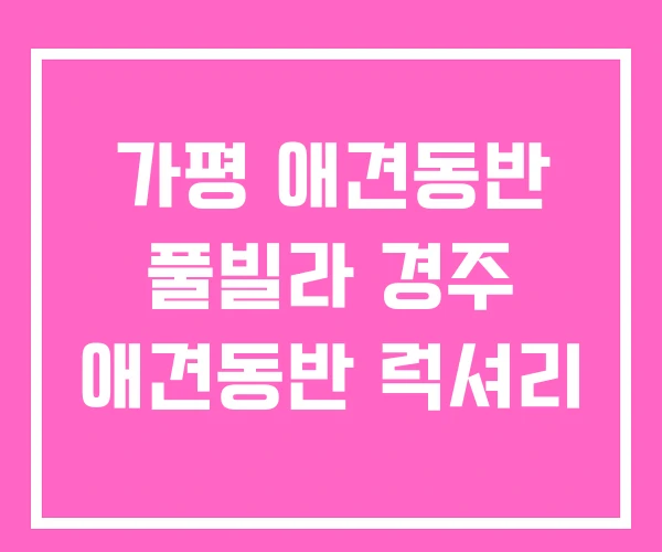 가평 애견동반 풀빌라 경주 애견동반 럭셔리