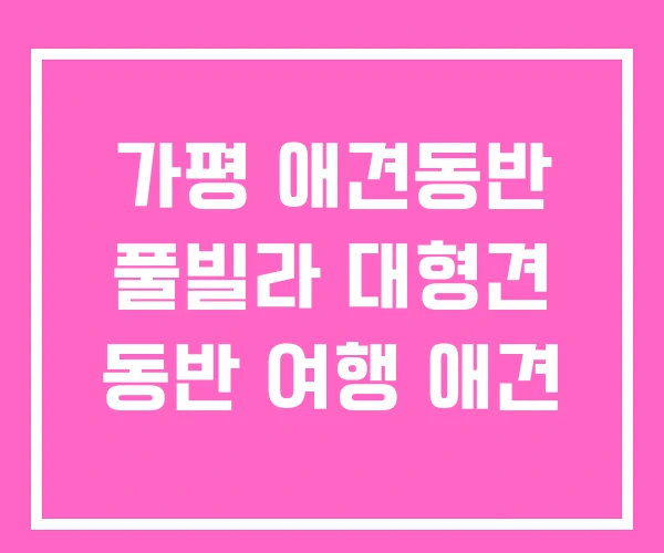 가평 애견동반 풀빌라 대형견 동반 여행 애견 가평 애견동반 풀빌라 대형견 동반 여행 애견