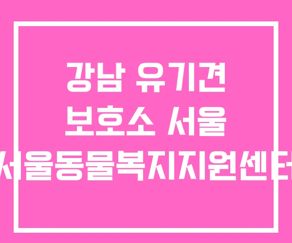 강남 유기견 보호소 서울 서울동물복지지원센터