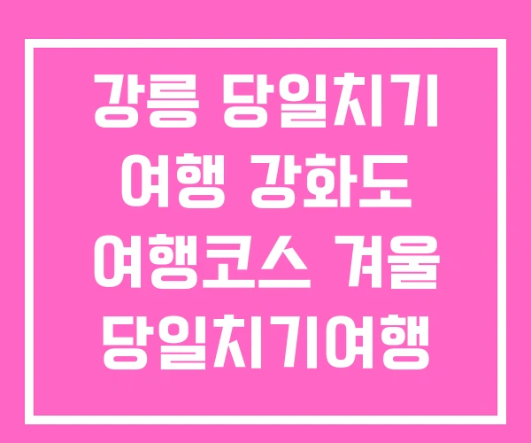 강릉 당일치기 여행 강화도 여행코스 겨울 당일치기여행 강릉 당일치기 여행 강화도 여행코스 겨울 당일치기여행