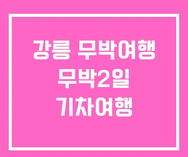 강릉 무박여행 무박2일 기차여행