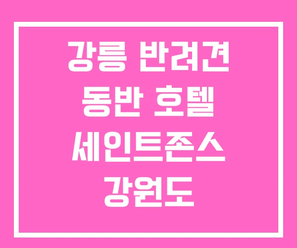 강릉 반려견 동반 호텔 세인트존스 강원도 강릉 반려견 동반 호텔 세인트존스 강원도