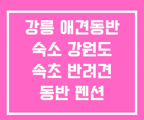 강릉 애견동반 숙소 강원도 속초 반려견 동반 펜션 강릉 애견동반 숙소 강원도 속초 반려견 동반 펜션