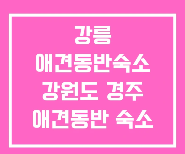 강릉 애견동반숙소 강원도 경주 애견동반 숙소 강릉 애견동반숙소 강원도 경주 애견동반 숙소