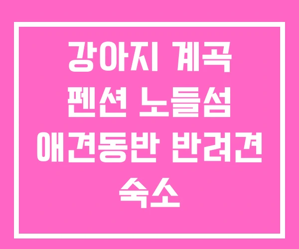 강아지 계곡 펜션 노들섬 애견동반 반려견 숙소 강아지 계곡 펜션 노들섬 애견동반 반려견 숙소