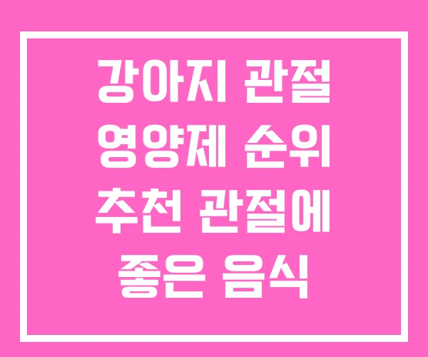 강아지 관절 영양제 순위 추천 관절에 좋은 음식
