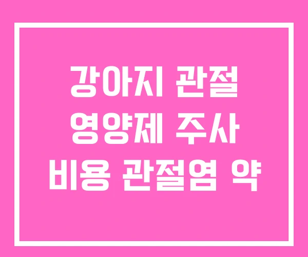 강아지 관절 영양제 주사 비용 관절염 약
