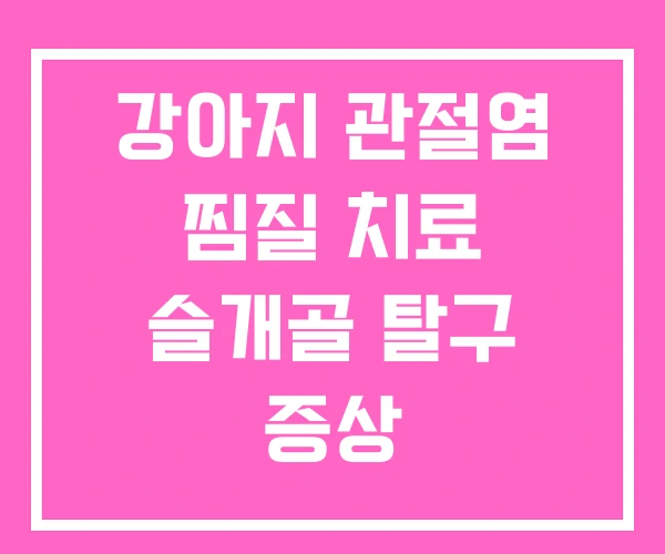 강아지 관절염 찜질 치료 슬개골 탈구 증상
