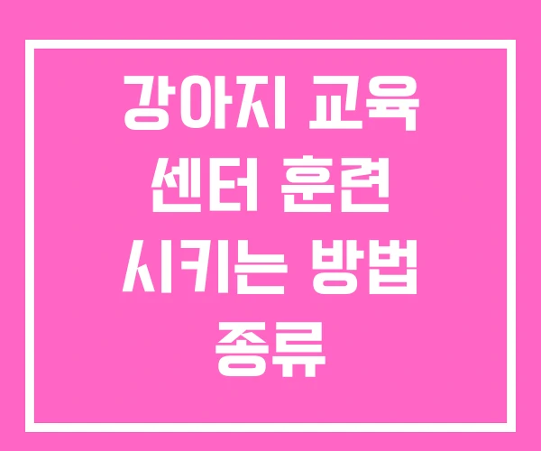 강아지 교육 센터 훈련 시키는 방법 종류