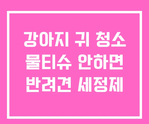 강아지 귀 청소 물티슈 안하면 반려견 세정제