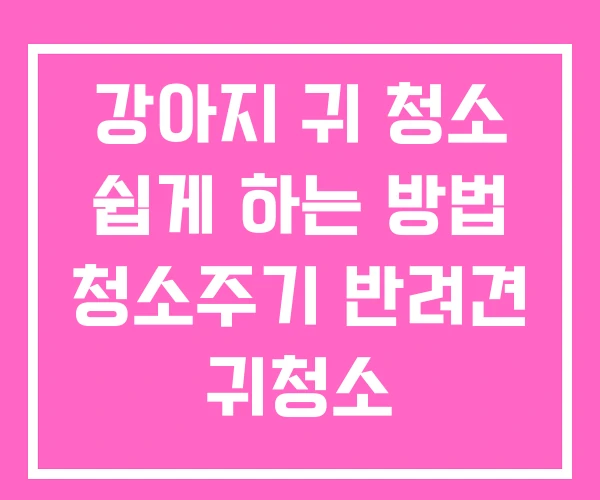 강아지 귀 청소 쉽게 하는 방법 청소주기 반려견 귀청소