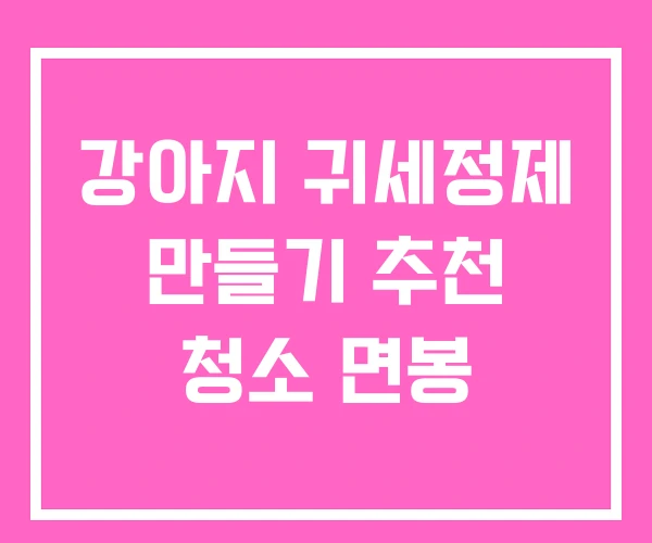 강아지 귀세정제 만들기 추천 청소 면봉