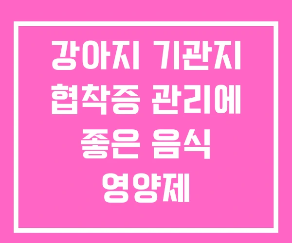 강아지 기관지 협착증 관리에 좋은 음식 영양제