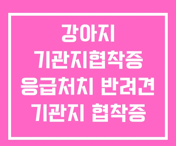 강아지 기관지협착증 응급처치 반려견 기관지 협착증 원인