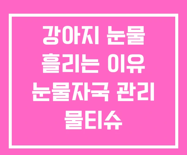 강아지 눈물 흘리는 이유 눈물자국 관리 물티슈 강아지 눈물 흘리는 이유 눈물자국 관리 물티슈