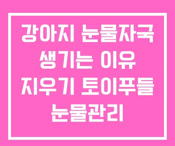 강아지 눈물자국 생기는 이유 지우기 토이푸들 눈물관리 강아지 눈물자국 생기는 이유 지우기 토이푸들 눈물관리