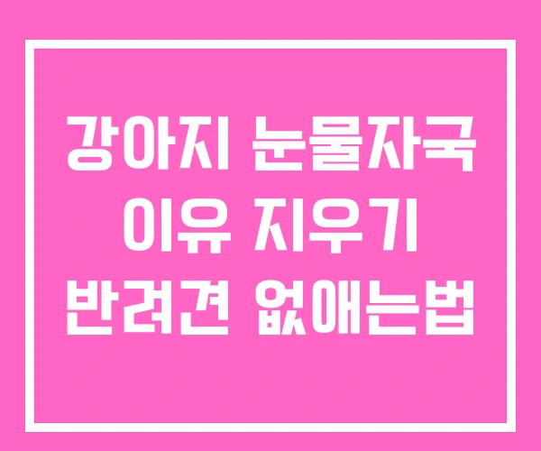 강아지 눈물자국 이유 지우기 반려견 없애는법