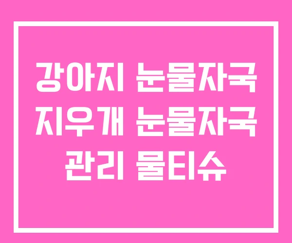 강아지 눈물자국 지우개 눈물자국 관리 물티슈