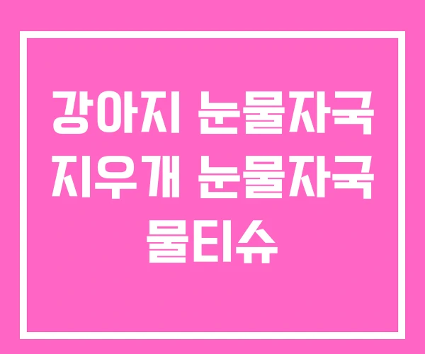 강아지 눈물자국 지우개 눈물자국 물티슈