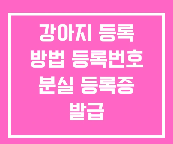 강아지 등록 방법 등록번호 분실 등록증 발급