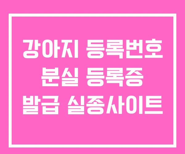 강아지 등록번호 분실 등록증 발급 실종사이트 강아지 등록번호 분실 등록증 발급 실종사이트