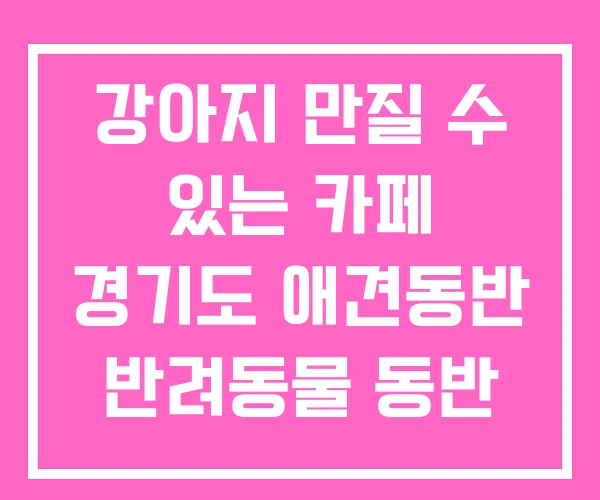 강아지 만질 수 있는 카페 경기도 애견동반 반려동물 동반