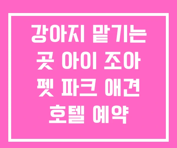 강아지 맡기는 곳 아이 조아 펫 파크 애견 호텔 예약 강아지 맡기는 곳 아이 조아 펫 파크 애견 호텔 예약