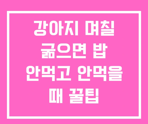 강아지 며칠 굶으면 밥 안먹고 안먹을 때 꿀팁