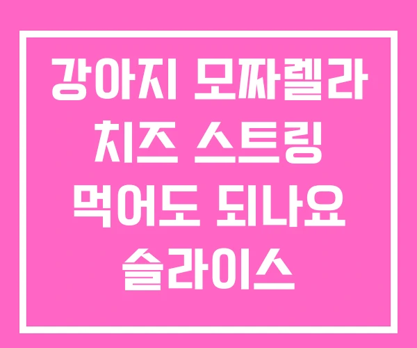 강아지 모짜렐라 치즈 스트링 먹어도 되나요 슬라이스 강아지 모짜렐라 치즈 스트링 먹어도 되나요 슬라이스
