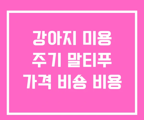 강아지 미용 주기 말티푸 가격 비숑 비용 강아지 미용 주기 말티푸 가격 비숑 비용