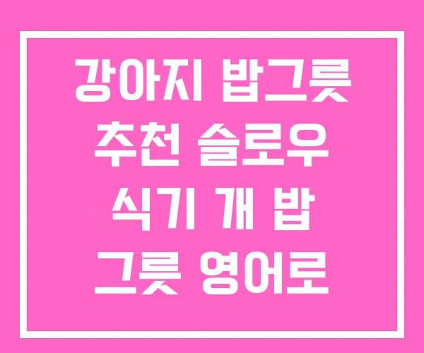 강아지 밥그릇 추천 슬로우 식기 개 밥 그릇 영어로 강아지 밥그릇 추천 슬로우 식기 개 밥 그릇 영어로