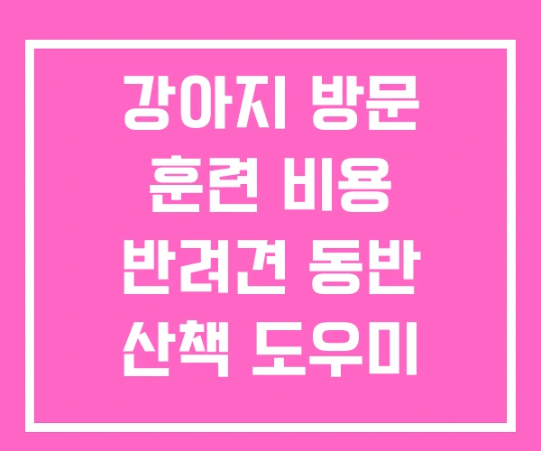 강아지 방문 훈련 비용 반려견 동반 산책 도우미