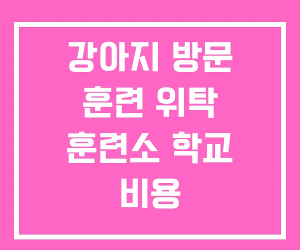 강아지 방문 훈련 위탁 훈련소 학교 비용 강아지 방문 훈련 위탁 훈련소 학교 비용