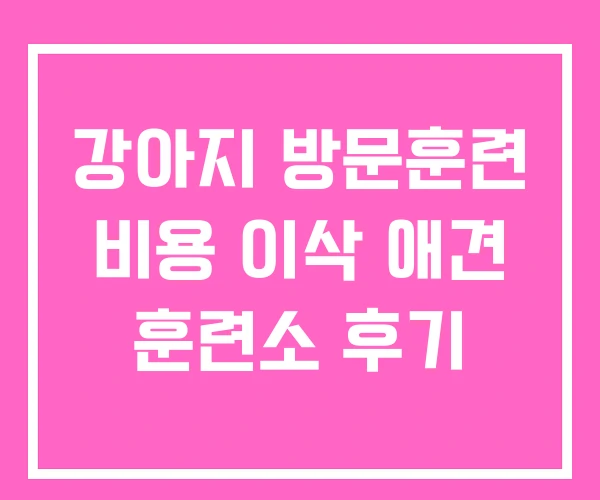강아지 방문훈련 비용 이삭 애견 훈련소 후기