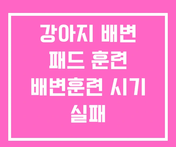 강아지 배변 패드 훈련 배변훈련 시기 실패