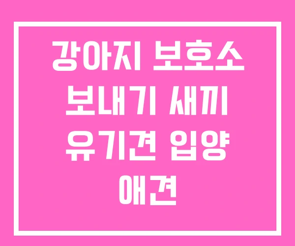 강아지 보호소 보내기 새끼 유기견 입양 애견 강아지 보호소 보내기 새끼 유기견 입양 애견
