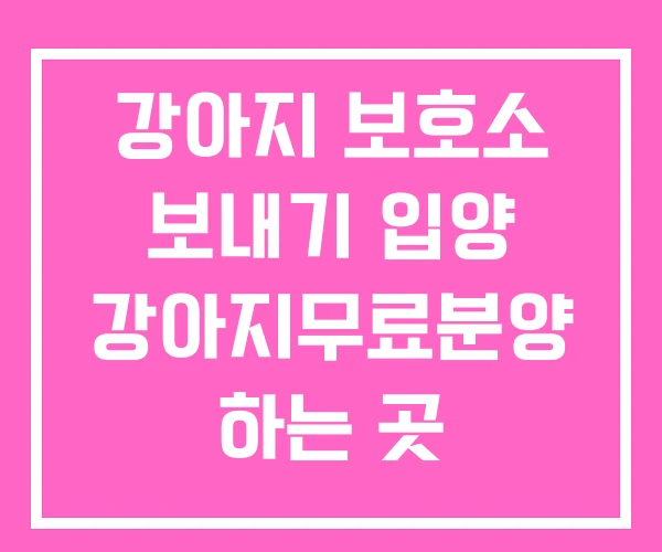 강아지 보호소 보내기 입양 강아지무료분양 하는 곳