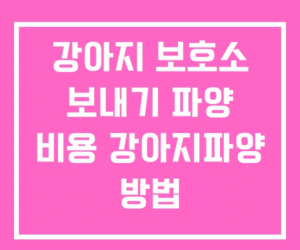 강아지 보호소 보내기 파양 비용 강아지파양 방법