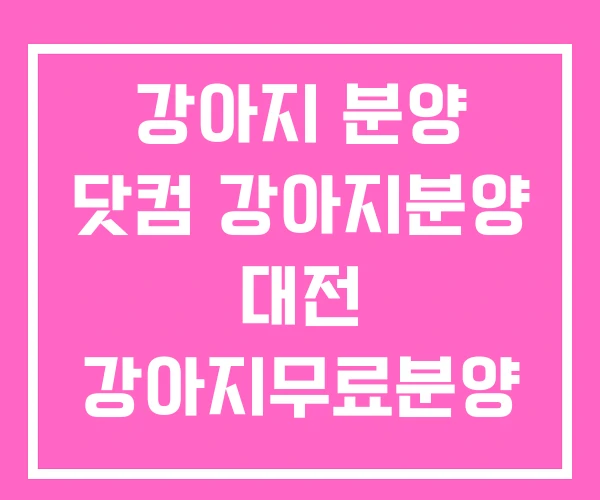 강아지 분양 닷컴 강아지분양 대전 강아지무료분양