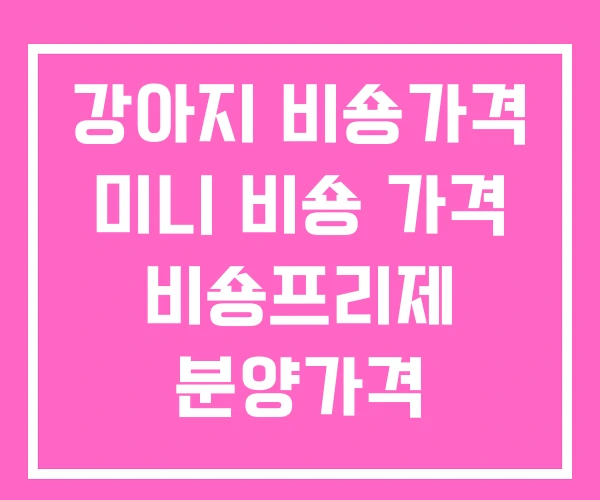 강아지 비숑가격 미니 비숑 가격 비숑프리제 분양가격