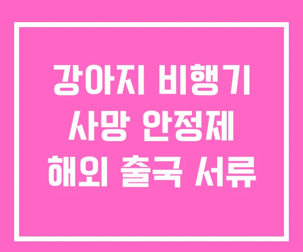 강아지 비행기 사망 안정제 해외 출국 서류 강아지 비행기 사망 안정제 해외 출국 서류