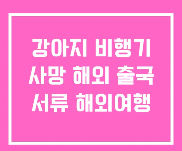 강아지 비행기 사망 해외 출국 서류 해외여행