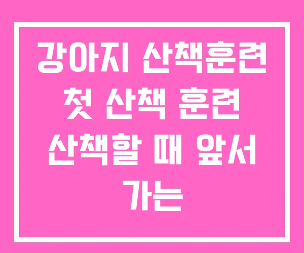 강아지 산책훈련 첫 산책 훈련 산책할 때 앞서 가는 강아지 산책훈련 첫 산책 훈련 산책할 때 앞서 가는