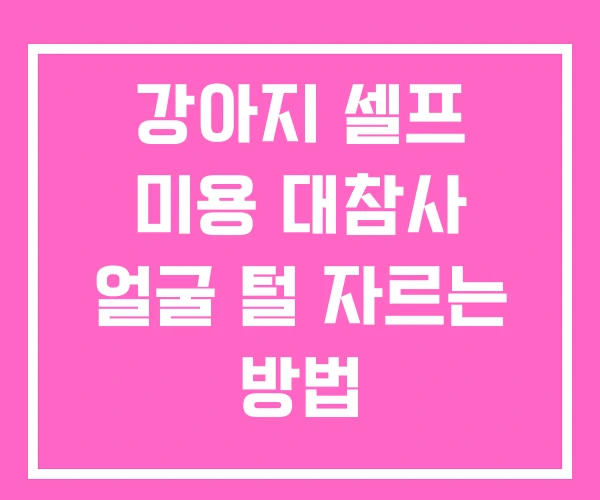 강아지 셀프 미용 대참사 얼굴 털 자르는 방법 강아지 셀프 미용 대참사 얼굴 털 자르는 방법