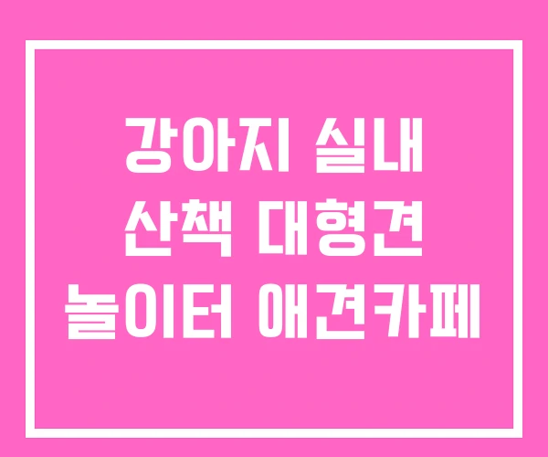 강아지 실내 산책 대형견 놀이터 애견카페 강아지 실내 산책 대형견 놀이터 애견카페